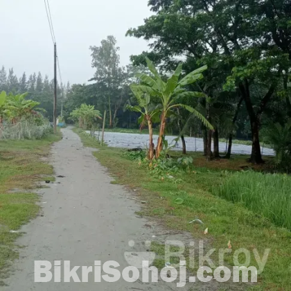 বাড়ির জমি বিক্রি